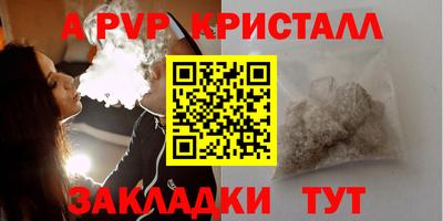 стаф Новодвинск