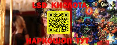 стаф Новодвинск
