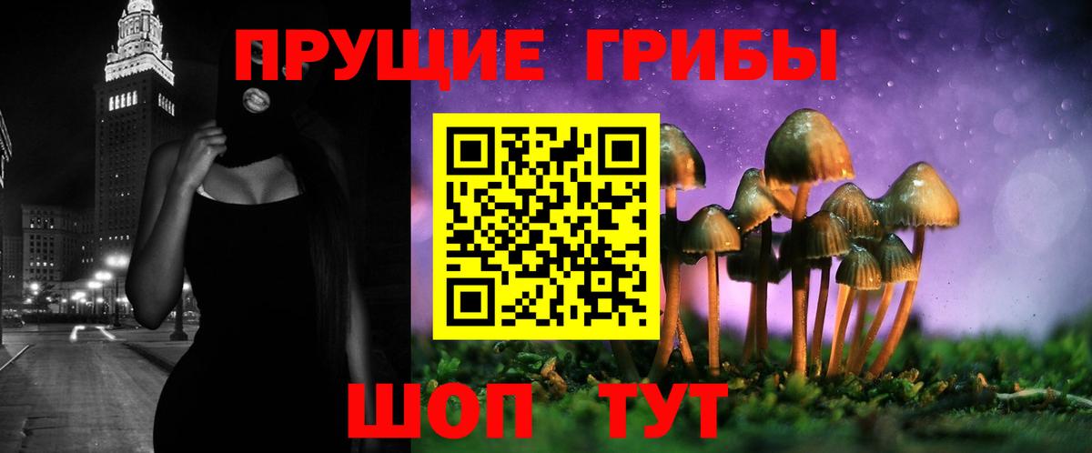 Галлюциногенные грибы прущие грибы Туапсе